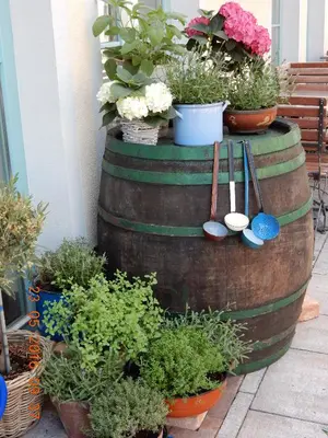 a group of potted plants sitting on top of a barrel at Villa Parma in Maribor Self check - in in Maribor