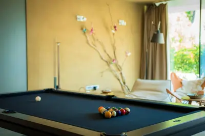 a pool table with balls in a living room at Ortenia Apartments in Nature in Podčetrtek