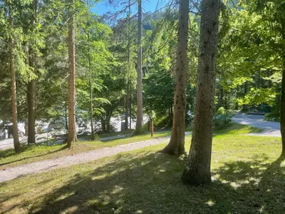 a dirt road through a forest with trees at Martinov dom in Kranjska Gora