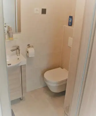 a bathroom with a toilet and a sink at Apartma Vila Zigmund in Cerknica