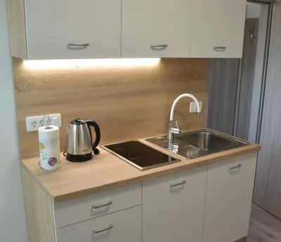 a kitchen counter with a sink and a stove at Apartma Vila Zigmund in Cerknica