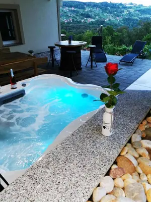 a swimming pool with a flower in a vase at Vineyard cottage Na hribu in Dvor
