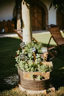 a planter with signs on a tree in a yard at Treehouse Drevesna hiška Štrkovo gnezdo Ranč Jureš in Ljutomer