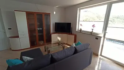 a living room with a couch and a tv at Apartma Apollonio in Črni Kal