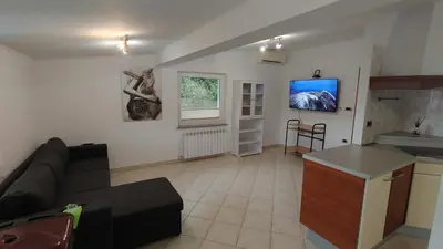 a living room with a couch and a kitchen at Apartma Apollonio in Črni Kal