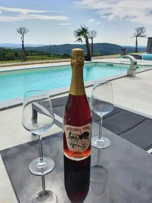 a bottle of wine and two wine glasses on a table at Three Stars Luxury House ART-PE with pool and SPA pool in Trebnje