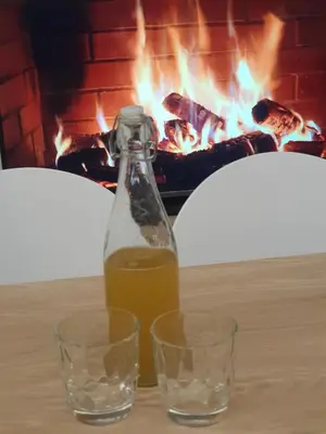 a bottle of wine and two glasses on a table with a fireplace at Three Stars Luxury House ART-PE with pool and SPA pool in Trebnje