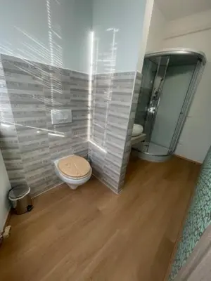 a bathroom with a toilet and a shower at Room Oaza Miru in Maribor