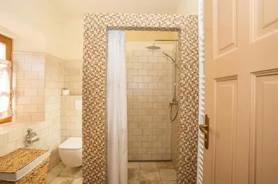 a bathroom with a shower with a toilet and a sink at Notranjska hiša - traditional country house, close to the world attraction Cerknica lake in Begunje pri Cerknici