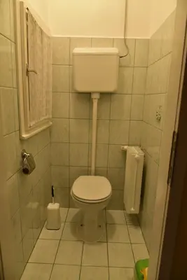 a small bathroom with a toilet and a window at Primula Apartment in Blejska Dobrava