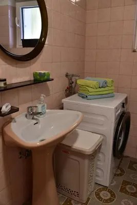 a bathroom with a sink and a washing machine at Primula Apartment in Blejska Dobrava