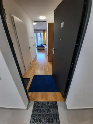 a hallway with a blue rug on the floor at DR7 Bled in Bled