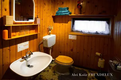 a wooden bathroom with a toilet and a sink at Pet & Family Friendly House Viktorija - house near Golica with Triglav view in Jesenice