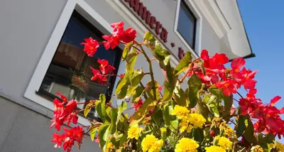 a bouquet of red and yellow flowers in front of a store at Guest House Pri Cesarju in Kamnik
