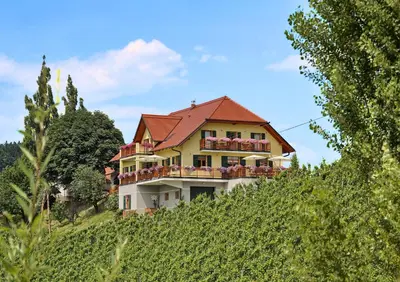 a house on top of a hill with vines at Farm Stay Jarc Vineyard in Svečina