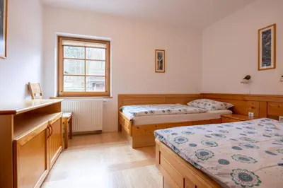 a bedroom with two beds and a window at Apartments Brina in Bohinj