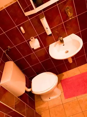 a bathroom with a toilet and a sink at Guest House Pikapolonca in Maribor