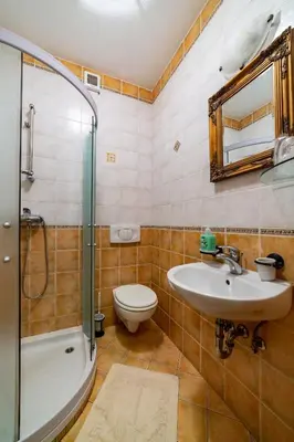 a bathroom with a sink and a toilet and a shower at Rooms Herman in Pivka