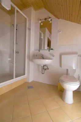 a bathroom with a toilet and a sink and a shower at B&B Na Kluk in Idrija