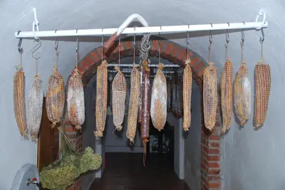 a bunch of carrots hanging from a wall at Farm Stay Rotovnik - Plesnik in Slovenj Gradec