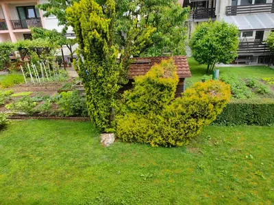 a bush shaped like a dollar sign in a yard at Rooms and Apartment Na poljani in Škofja Loka