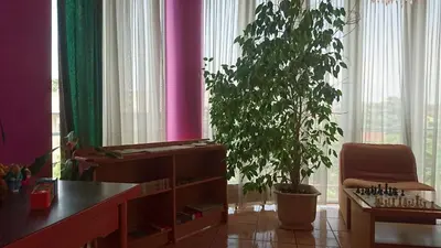 a room with a plant and a table and a chair at Penzion Zeleni Kakadu in Maribor