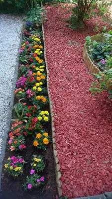 a row of flowers in a flower garden at Penzion Zeleni Kakadu in Maribor