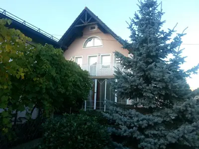 a house with a christmas tree in front of it at Penzion Zeleni Kakadu in Maribor