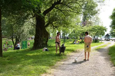 two men walking a dog on a path in a park at Holiday resort Bela krajina - Glamping and Mobile Homes in Metlika