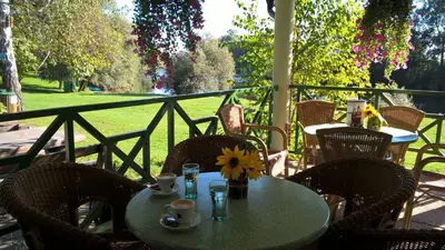 a table with a sunflower sitting on a porch at Holiday resort Bela krajina - Glamping and Mobile Homes in Metlika