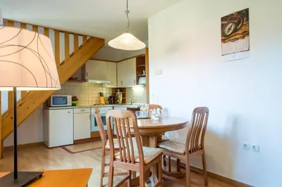 a kitchen and dining room with a table and chairs at Apartments Jaka in Dolenjske Toplice