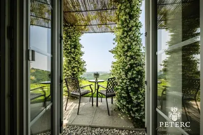 a glass door leading to a patio with a table and chairs at Peterc Vineyard Estate in Kojsko