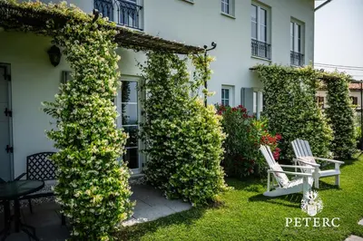 a garden with two chairs and a building at Peterc Vineyard Estate in Kojsko