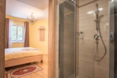 a bathroom with a shower and a bed at Vila Radolca apartments & rooms in Radovljica