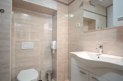 a bathroom with a sink and a toilet and a mirror at Vila Radolca apartments & rooms in Radovljica