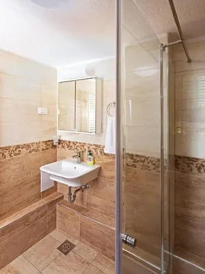 a bathroom with a sink and a shower at Old Farm House Breg in Žirovnica