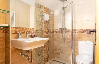 a bathroom with a sink and a toilet and a shower at Old Farm House Breg in Žirovnica
