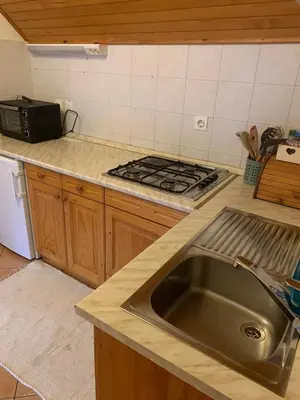 a kitchen with a sink and a stove at Apartments Nune in Zreče