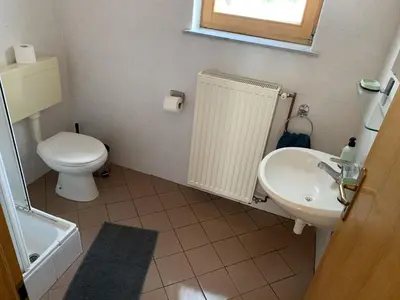 a small bathroom with a toilet and a sink at Apartments Nune in Zreče