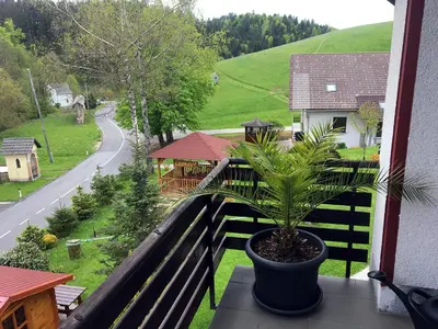 a potted plant sitting on the ledge of a balcony at Lookout Resort in the green heart of Slovenia in Rovte