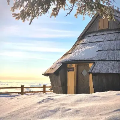 Chalet Velika Planina with Sauna - I FEEL ALPS