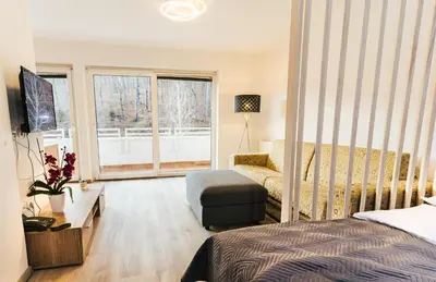 a bedroom with a bed and a couch and a window at Aparthotel Rosa 404 in Podčetrtek