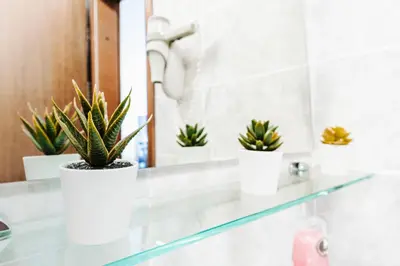 a bathroom with three potted plants on a glass shelf at Aparthotel Rosa 404 in Podčetrtek