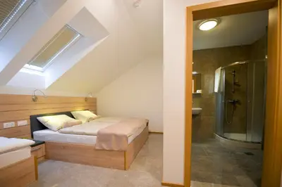 a bedroom with a bed and a bathroom with a shower at HOTEL BARON in Smlednik