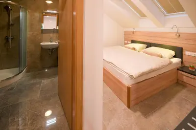 a bedroom with a bed and a sink and a shower at HOTEL BARON in Smlednik