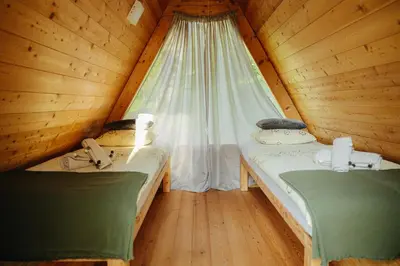 two beds in a wooden room with a window at GOZDNE VILE va VRTI in Kostel