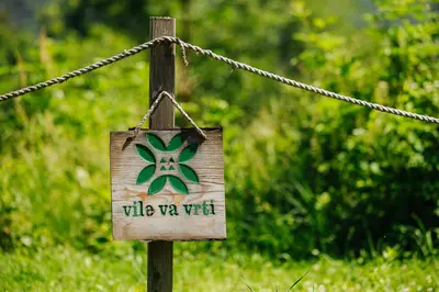 a wooden sign on a rope with a star on it at GOZDNE VILE va VRTI in Kostel