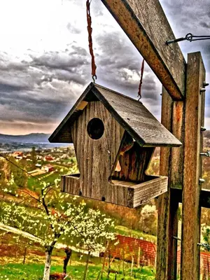 a bird house hanging from a wooden pole at Vineyard cottage Podržaj in Otočec