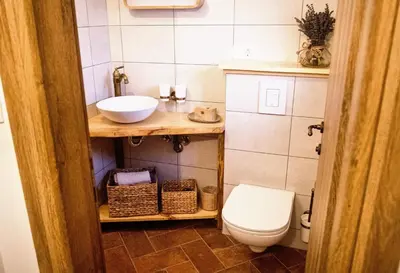 a small bathroom with a toilet and a sink at Vineyard cottage Podržaj in Otočec