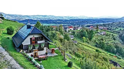 a house on top of a green hill at Vineyard cottage Podržaj in Otočec